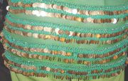 Sequins on a hip-cloth